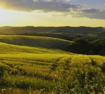 Op vakantie naar Italië, samen met de hond: bij deze vakantie adresjes is jouw trouwe viervoeter welkom